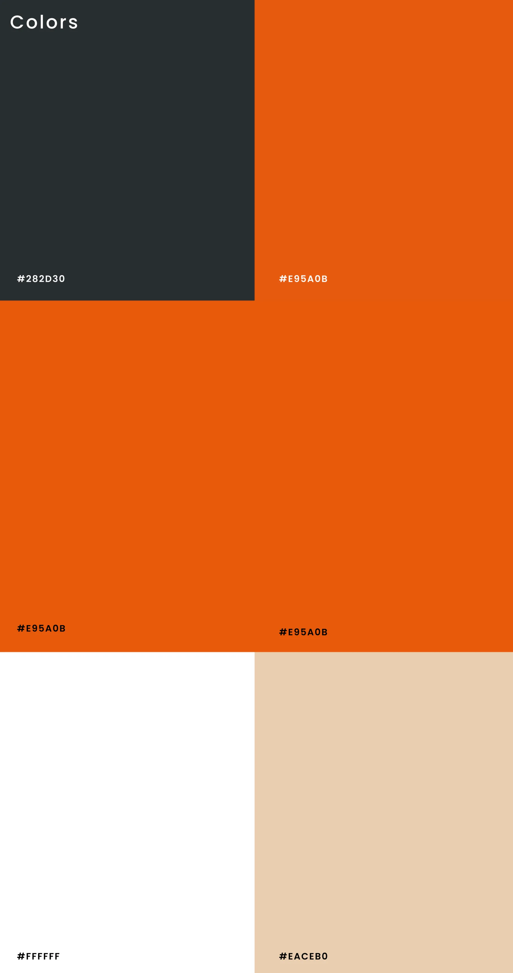 Key Financial Coaching color palette